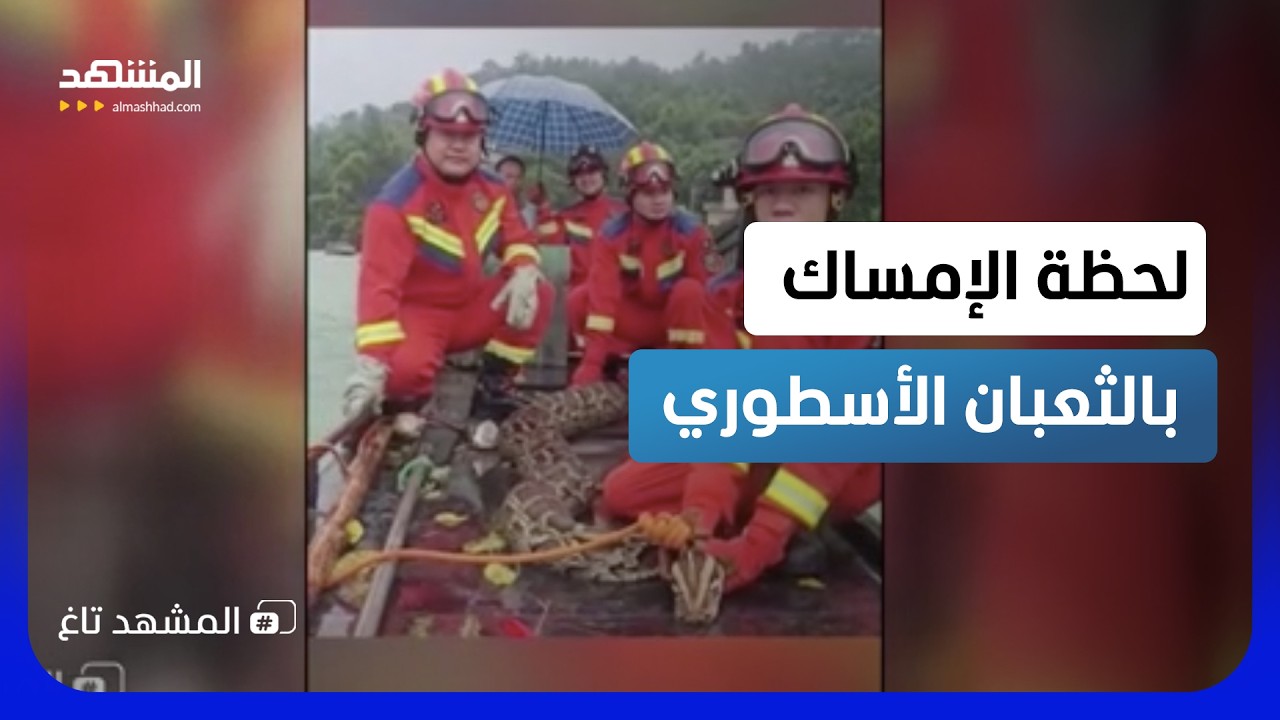 ظنوا أنه وحش أسطوري.. لغز الثعبان الذي أرعب قرية صينية! - المشهد تاغ
