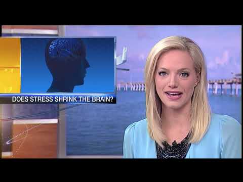 Video: ABC 7 News at 5:30pm - Friday November 2, 2018