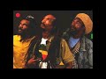 Israel Vibration - Live And Give