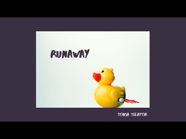  Runaway - Sonja Sleator