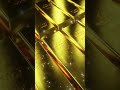Weight grade dark gold bars