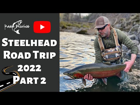 GIANT STEELHEAD! STEELHEAD ROAD TRIP 2022 PART 2 - Day 1 (continued) BOBBER DOWN on a monster buck!