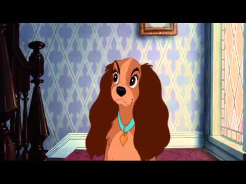 Lady and the Tramp  Aunt Sarah HD