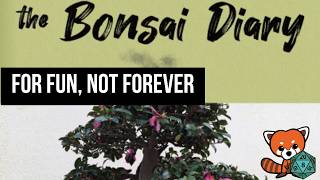 Beyond Solitaire - The Bonsai Diary video thumbnail