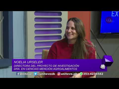 Innovación ambiental: biocarbones para remediar suelos