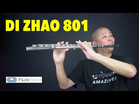 Di Zhao 801 Flute Review & Info | Flute World Sponsored