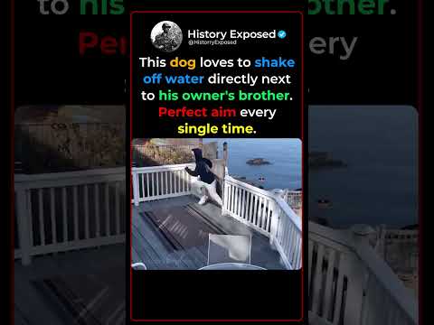 Dog Owner's Playful Water Revenge on His Brother 😂🐕