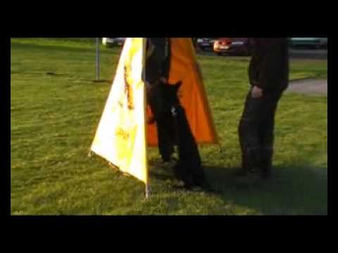 ERIC AYKMAR - DEFENCE - 4 MONTHS - Ludslavice, h: David Polzer