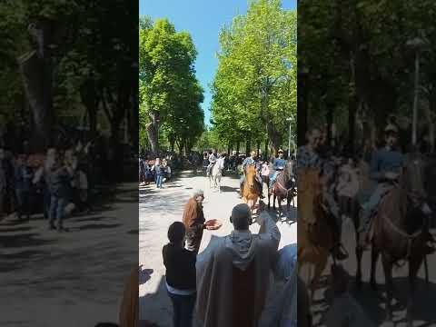 martinasavoldelli11083’s Video 174787721060 v2ZJMHu7ajg