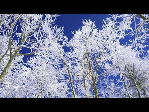 Benya feat. Penny Nixon - Serendipity (Original Mix) HQ