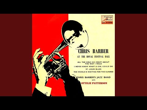 I Never Knew What A Girl Could Do