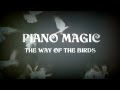 Piano Magic The Way of the Birds