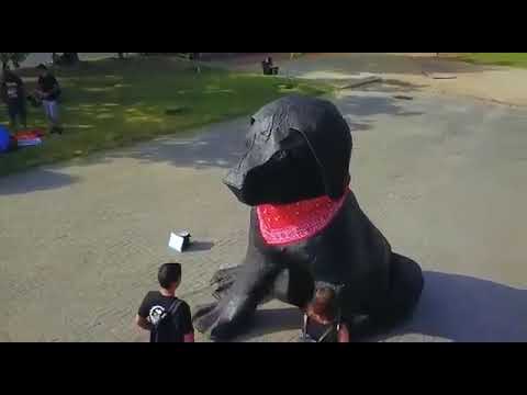 El Negro matapacos símbolo de Resistencia