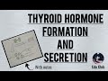 Formation and secretion of Thyroglobulin and Thyroid Hormones