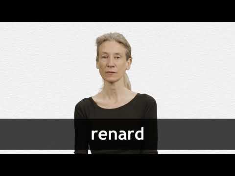 How to pronounce RENARD in French