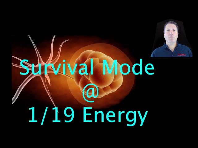 Mark Squibb oxygen plumbing explanation