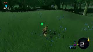 【ゼルダの伝説BoW】初見プレイでやっていきまーす！#2【switch】