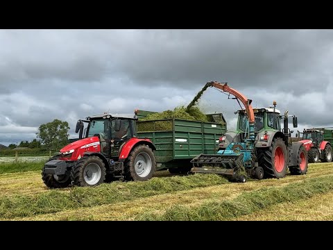 Cumbrian Silage 2024. Fendt reverse drive, MF, Claas, JCB team chop, cart & clamp.