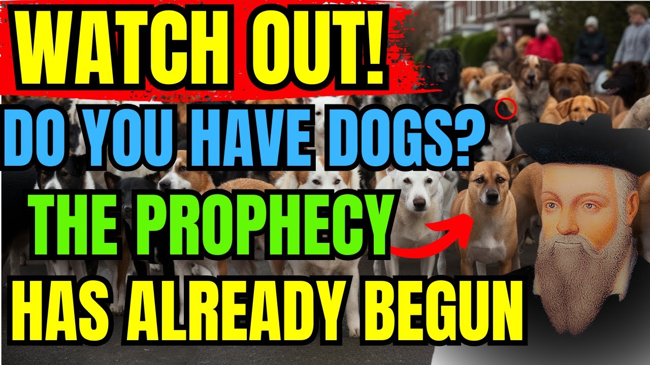 SHOCKING: What Nostradanus predicted for those who have a dog at home