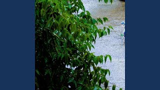 Download lagu Bidadari Tak Bersayap mp3