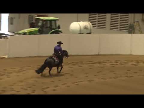 191004 Congress NP Stakes Ronnie Lane Colston on Crisp Conquistador