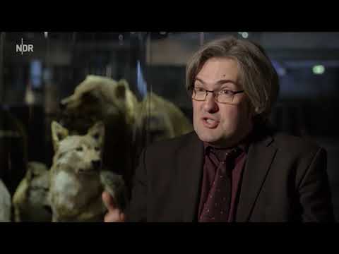 Hermann Löns: Zwischen Lyrik und Rassismus