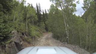 Mineral Creek #2   July 14, 2013