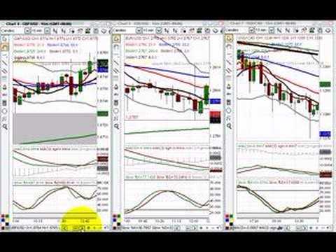FOREX Training Video - August 2, 2006