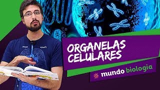 🔬 Citologia (2/7): Organelas Celulares - Biologia - ENEM