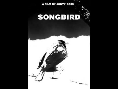 SONGBIRD: Irish, Coming of Age Short Film