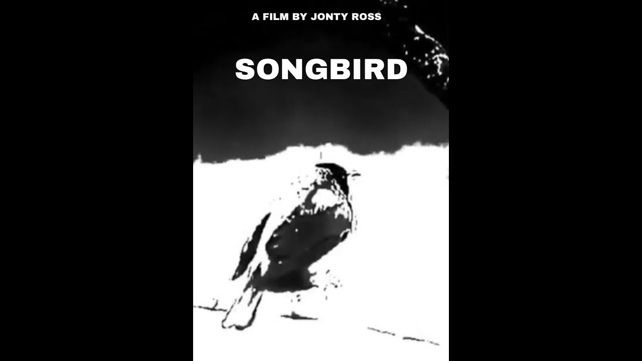 SONGBIRD: Irish, Coming of Age Short Film