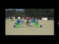 &Agrave; vendre Jument de sport 
