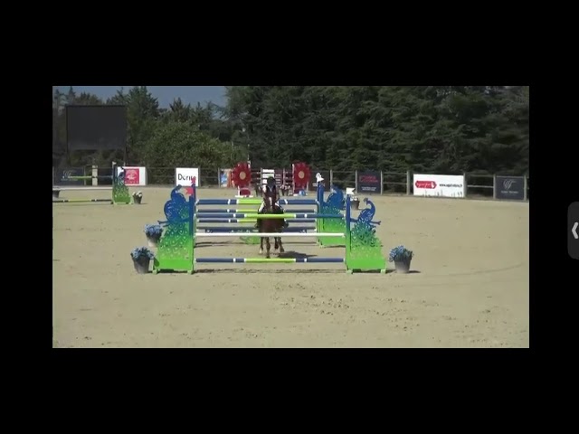 &Agrave; vendre Jument de sport 