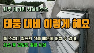 제주 시설하우스 태풍 대비방법 채소 및 고당도 비가림 하례조생 감귤 하우스