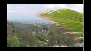 Now that I'm here Ft. Pulse Reaction & Aura