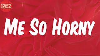 2 LIVE CREW (Lyrics) - Me So Horny