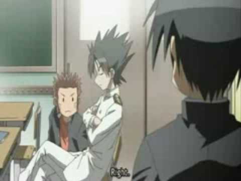 Seto no hanayome 14 Cat Part