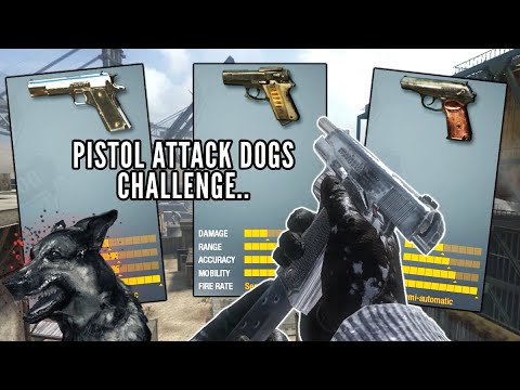 Can I Get Attack Dogs With Every Pistol In Black Ops 1..?