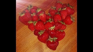Strawberry Alarm Clock *Strawberries Mean Love*