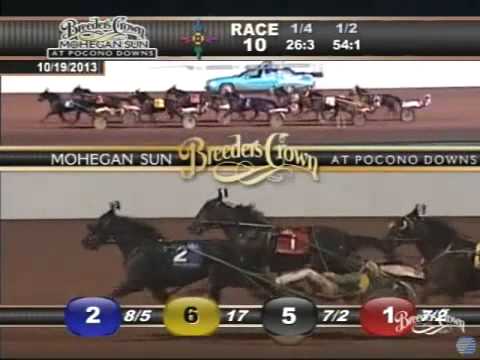 Shelliscape(1:50.0) Winner-Breeders Crown 2013 Open Mare Pace Champion