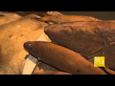 Kultur trifft Kirche - Kunstmuseum Kolumba