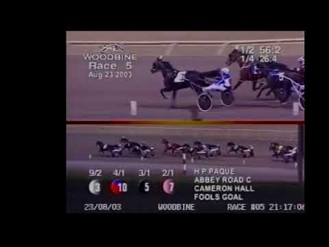 2003 Woodbine FOOLS GOAL Jack Moiseyev Breeders Crown Open Trot Elimination