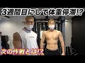 3週間で3.5kg体重を落とした減量食とは!?そして停滞期の次の作戦は!?【筋トレ】【減量】