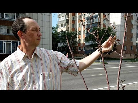 ����� ������� � ������� ������� ������