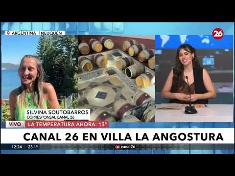 Vendimia, bodega Schroeder, San Patricio del Chañar, Neuquén.