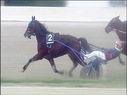 Trotto 20/12/2019 - 3ª corsa