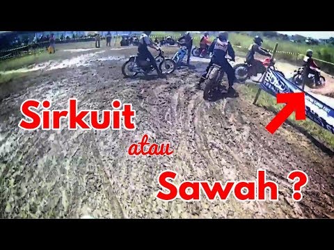 Cub Race 😎 || Kogan 4k