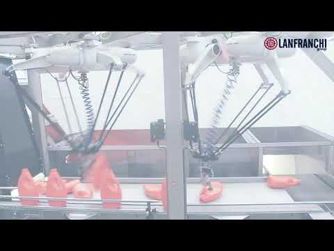 Lanfranchi Group - Robotic unscrambler