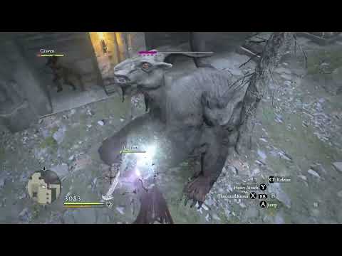 ASSASSINS ARE FAIR IN DRAGONS DOGMA