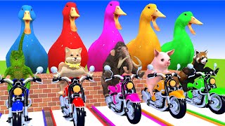 5 Giant Duck, Monkey, Lion, chicken, animals girl, Sheep, Transfiguration funny animal 2023